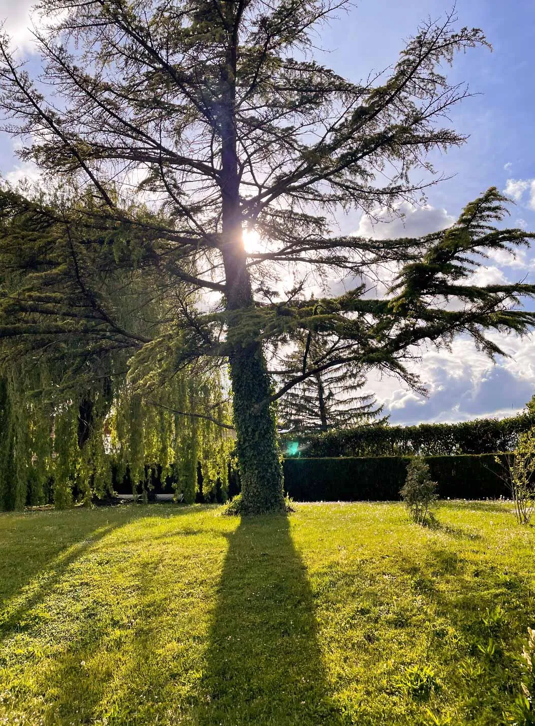 La Villa outdoor space